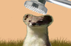 Squelch The Weasel by thehoopz