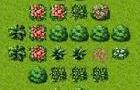 Gardening 101