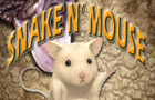 Snake n' Mouse