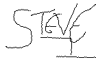 Steve 1