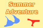 Summer Adventure