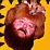 Hoss/What?