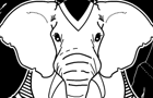 An Elephant's Memory