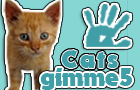 gimme5 - cats