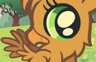 HTD: Baby Gryphon