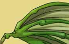 HTD: Dragon Skin Wing