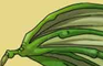 HTD: Dragon Skin Wing