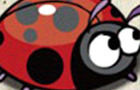 Nervous Ladybug 3