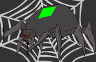 lion eating spider