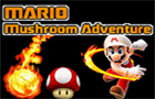 Mario Mushroom Adventure