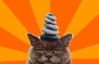 Zen Catz
