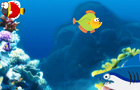 My big fish