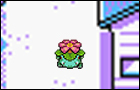 Venasaur's Quest