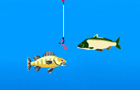Fishing large Boo