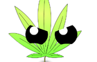 [SS] Cannabis Soup EP01