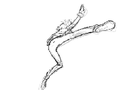 Animation test