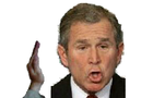 Slap George Bush