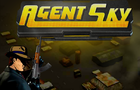Agent Sky