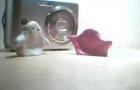 Blobs - Camera by Foglume