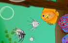 Find The Hidden Fish by salcha00
