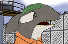 Killer Whales Episode 4