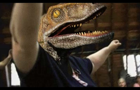 Raptor Jesus