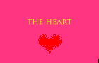 The Heart