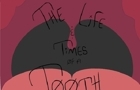 Life and Times of a Tooth