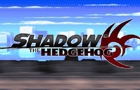 Shadow the Hedgehog Intro