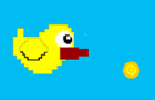 Chubby Bird