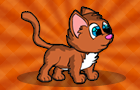 Kitty Run