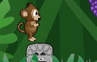 Happy Monkey