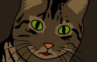 What cats think