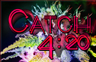 Catch420 Dev