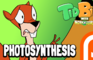 TidBits 2 Photosynthesis