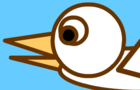duck flies south by zoinks