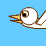 duck flies south