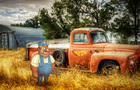 Farm Valley Escape