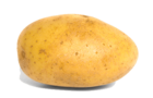 33 81