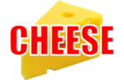 Cheese Knife
