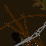 Real Blair Witch Project