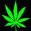 The Effect Of Dope (full)