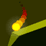 Action Games Portal_69396