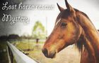Lost Horse Rescue Mystery