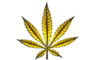 Legalize it