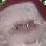 A Santa Clause Story