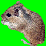 Mark Lama gerbil farmer!!