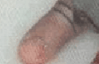 (old) FascismOfTheBeauty