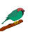Cute Bird...