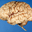 Psychological Test